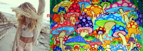 ГАЛЛЮЦИНОГЕННЫЕ ГРИБЫ Дмитров