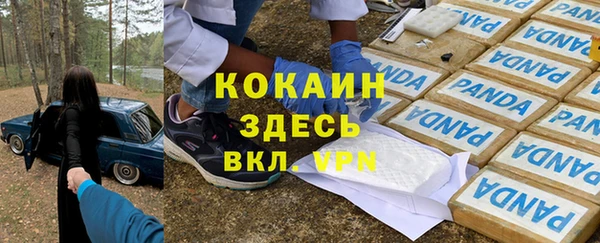 гашиш Дмитриев