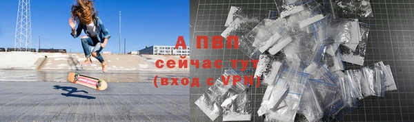 винт Ельня