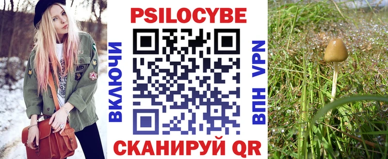 Псилоцибиновые грибы GOLDEN TEACHER kraken tor Сельцо